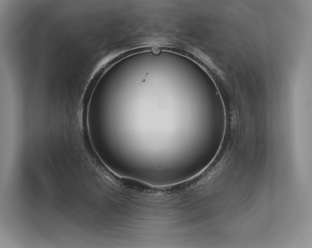 X0000113751222200909231125