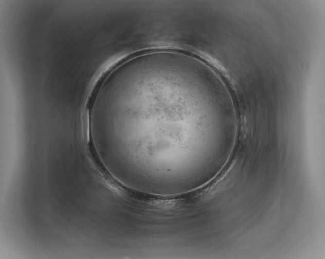 X0000113751223200909231125