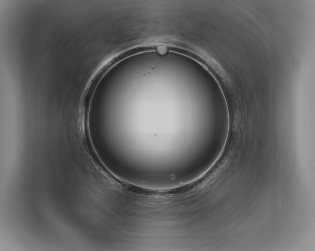 X0000113751224200909231125