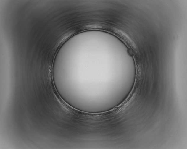 X0000113751225200909231125