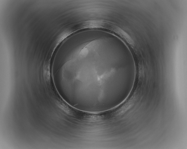 X0000113751226200909231125