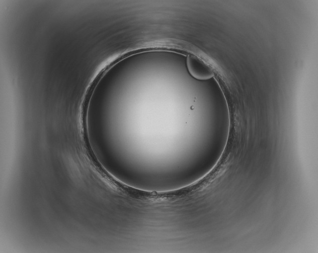 X0000113751230200909231125