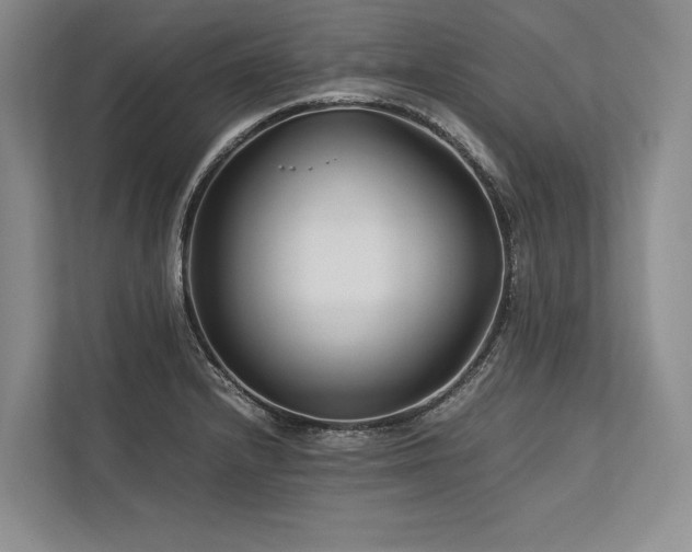 X0000113751232200909231125