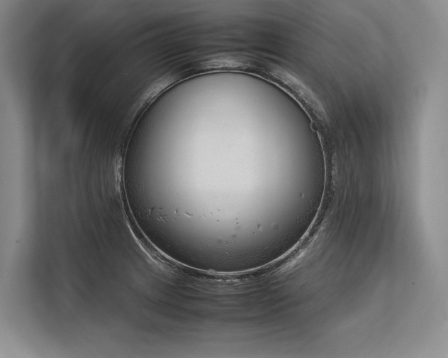 X0000113751233200909231125