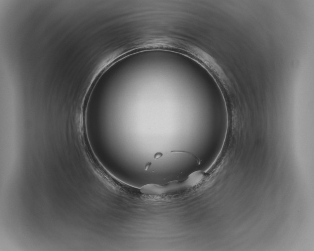 X0000113751234200909231125