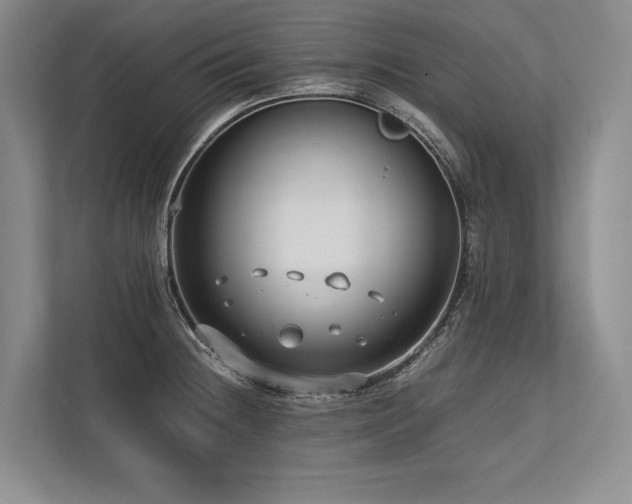 X0000113751236200909231125