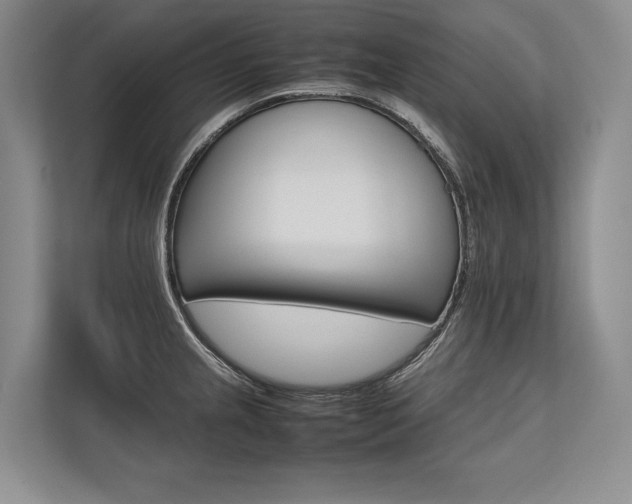 X0000113751237200909231125