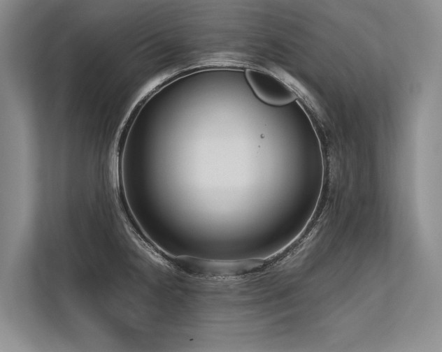 X0000113751238200909231125