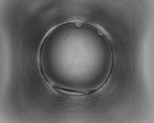 X0000113751240200909231125