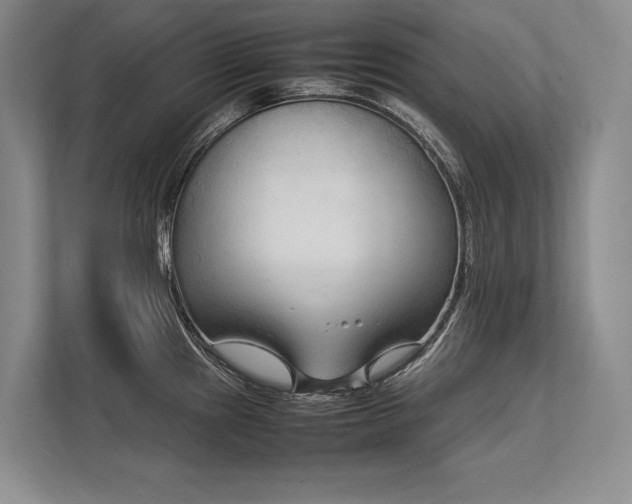 X0000113751241200909231125