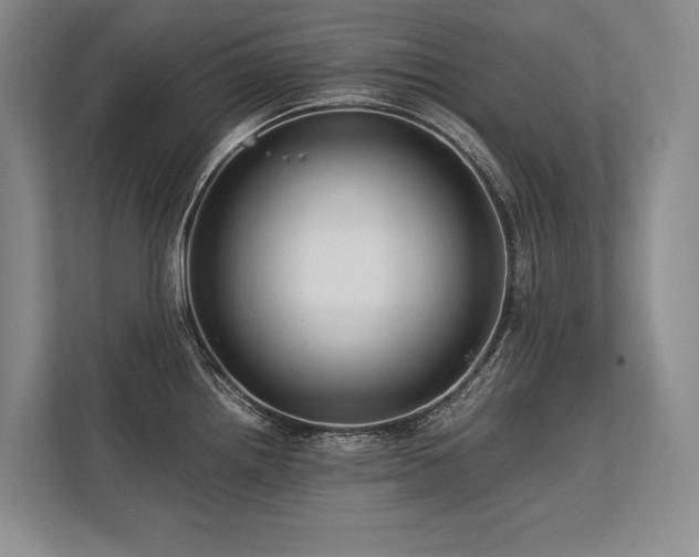 X0000113751242200909231125
