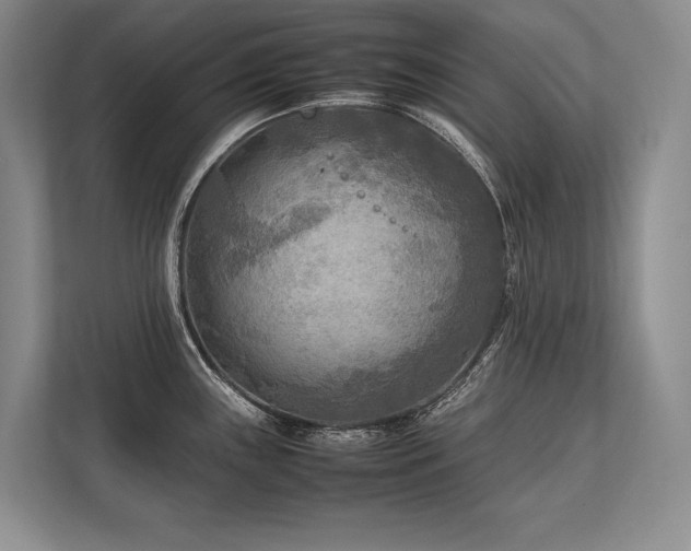 X0000113751243200909231125