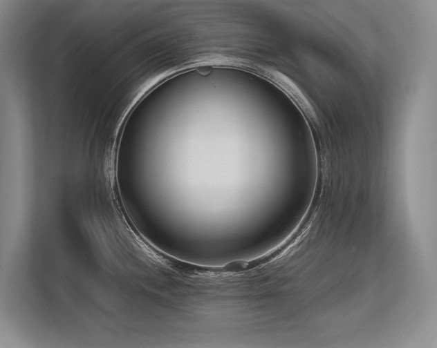 X0000113751244200909231125