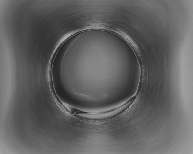 X0000113751246200909231125