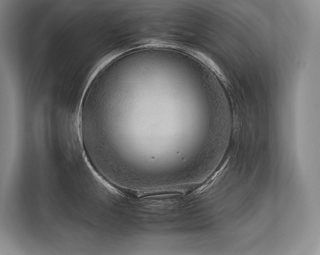 X0000113751247200909231125