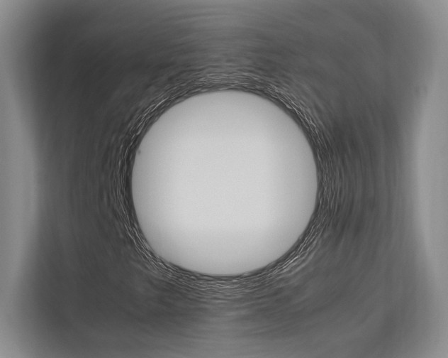 X0000113751249200909231124