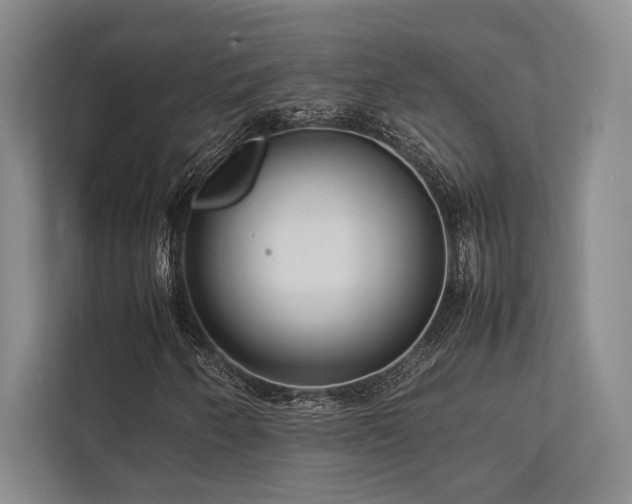 X0000113751250200909231124