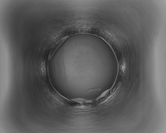 X0000113751252200909231124