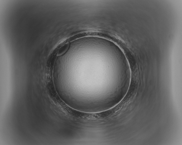 X0000113751255200909231124
