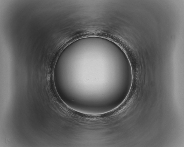 X0000113751257200909231124