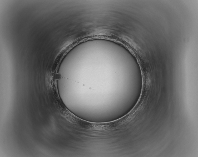 X0000113751258200909231124