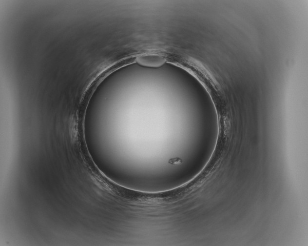 X0000113751260200909231124