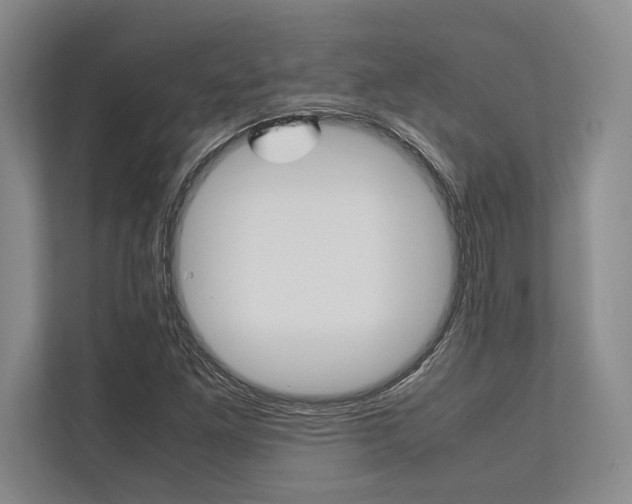 X0000113751261200909231124