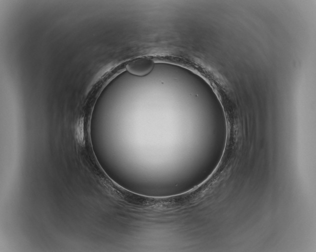 X0000113751262200909231124