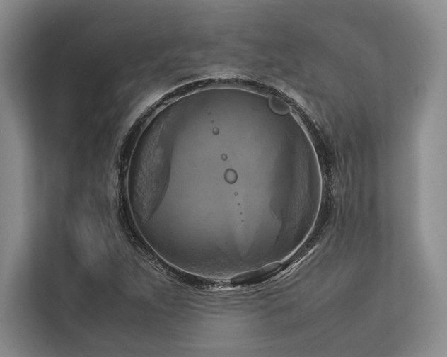 X0000113751263200909231124
