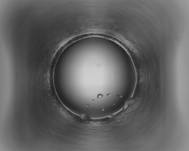 X0000113751264200909231124