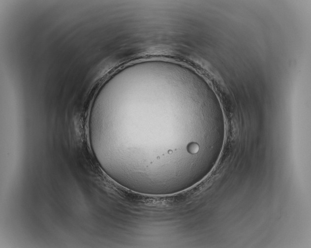 X0000113751266200909231124