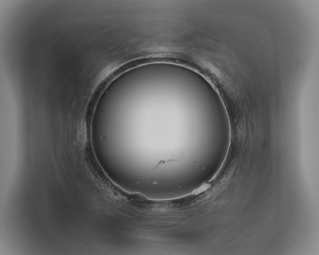X0000113751267200909231124