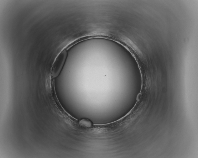 X0000113751268200909231124