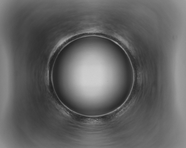 X0000113751270200909231124