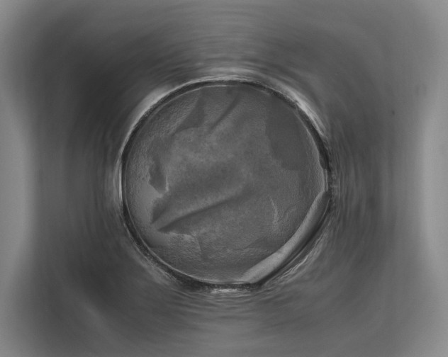 X0000113751275200909231124