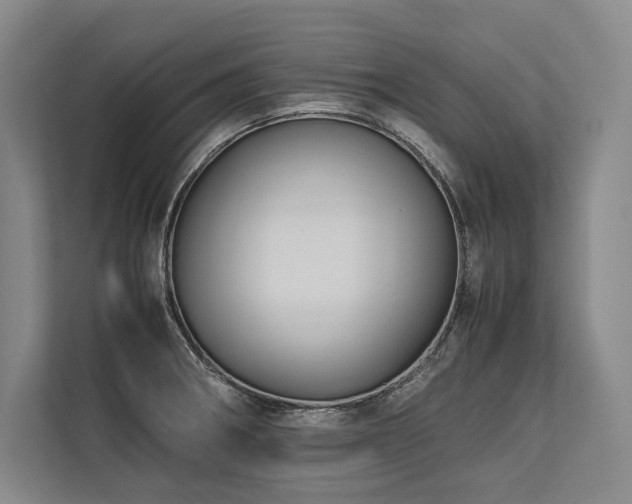 X0000113751282200909231124