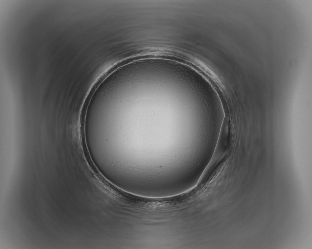 X0000113751283200909231124