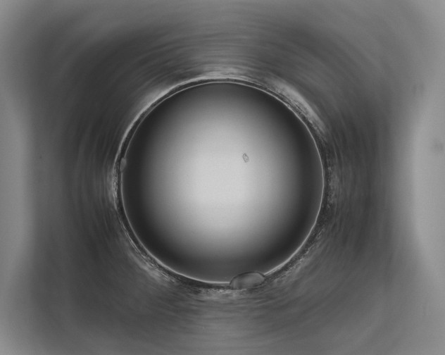 X0000113751284200909231124