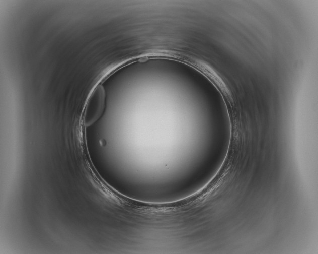 X0000113751292200909231124