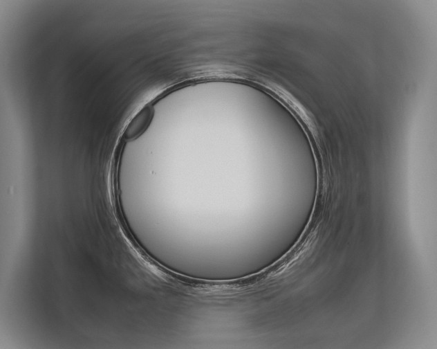 X0000113751293200909231124