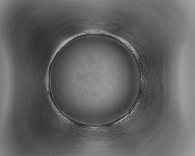 X0000113751295200909231124