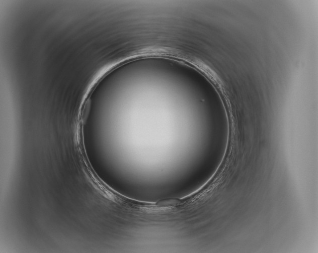 X0000113751296200909231124