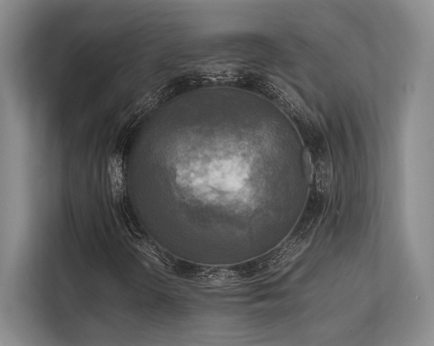 X0000113751298200909231123