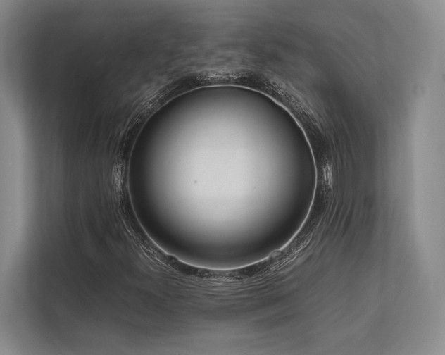 X0000113751300200909231123