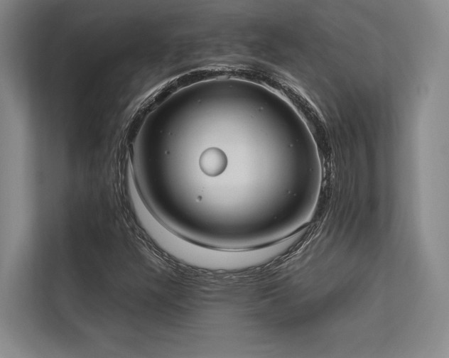 X0000113751304200909231123