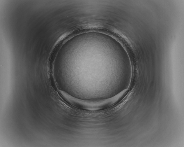 X0000113751306200909231123