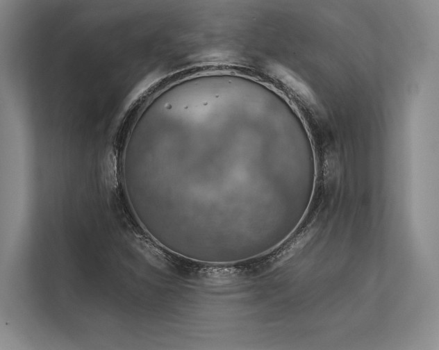 X0000113751310200909231123