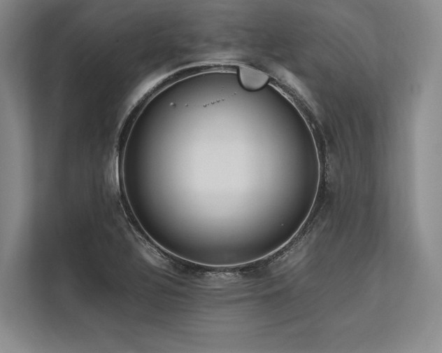 X0000113751320200909231123