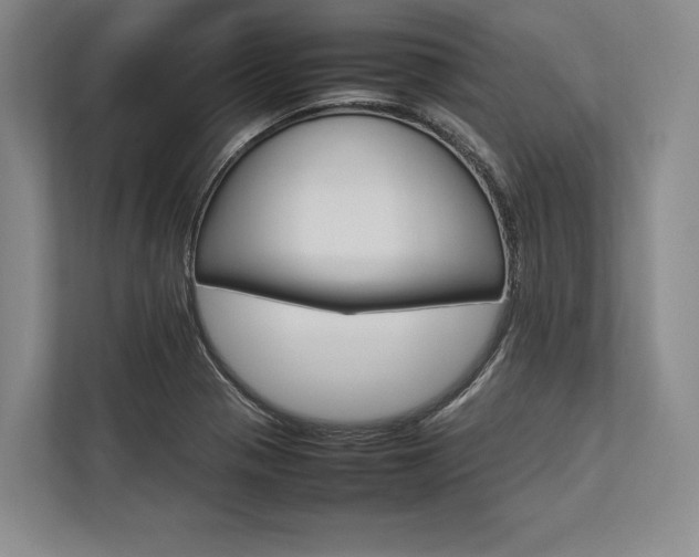 X0000113751321200909231123