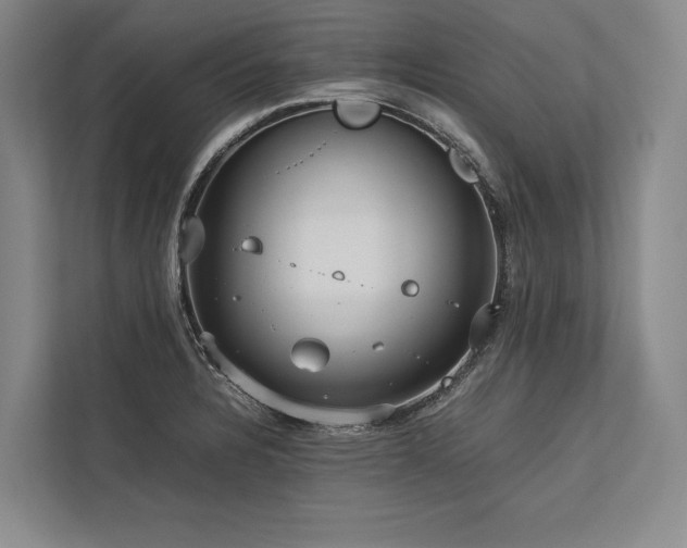 X0000113751328200909231123